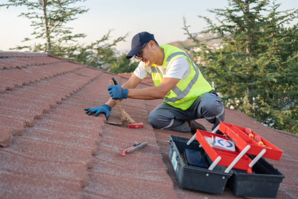 Roof Gutter Cleaning in Mercer Island, WA